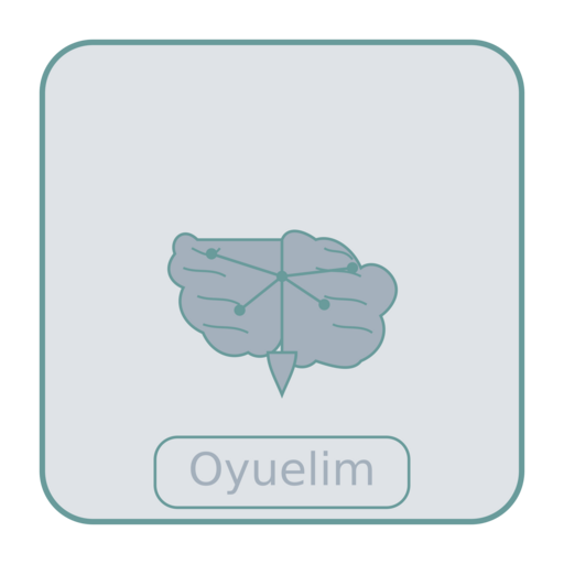 Washington Capital Solutions Logo